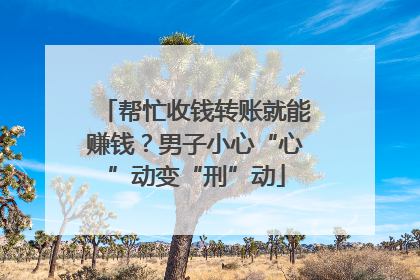 帮忙收钱转账就能赚钱？男子小心“心”动变“刑”动