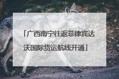 广西南宁往返菲律宾达沃国际货运航线开通