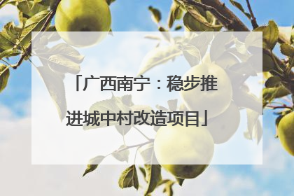 广西南宁：稳步推进城中村改造项目