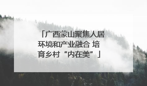 广西蒙山聚焦人居环境和产业融合 培育乡村“内在美”