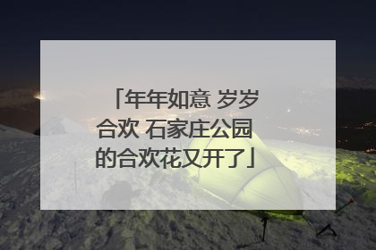 年年如意 岁岁合欢 石家庄公园的合欢花又开了