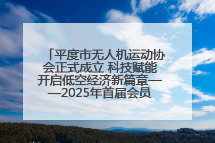 平度市无人机运动协会正式成立 科技赋能开启低空经济新篇章——2025年首届会员大会暨无人机应用发展论坛成功举办
