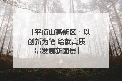 平顶山高新区：以创新为笔 绘就高质量发展新图景