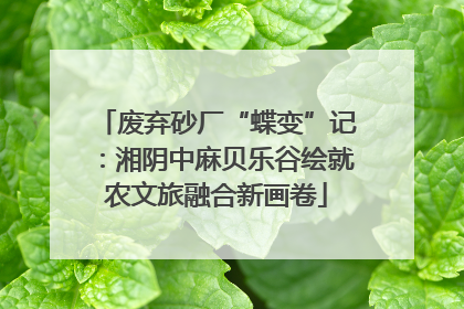 废弃砂厂“蝶变”记：湘阴中麻贝乐谷绘就农文旅融合新画卷
