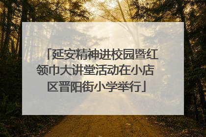 延安精神进校园暨红领巾大讲堂活动在小店区晋阳街小学举行