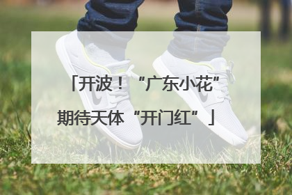 开波！“广东小花”期待天体“开门红”
