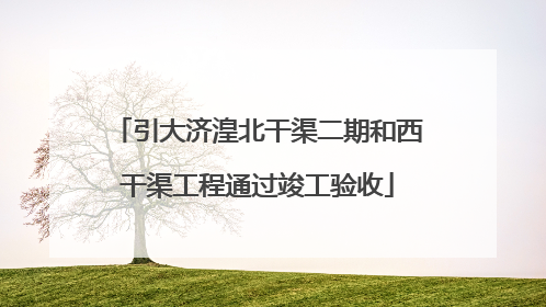 引大济湟北干渠二期和西干渠工程通过竣工验收