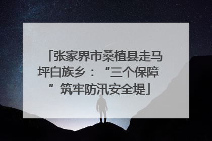 张家界市桑植县走马坪白族乡：“三个保障”筑牢防汛安全堤