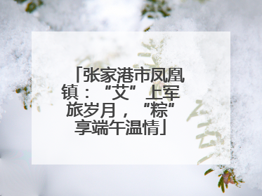 张家港市凤凰镇：“艾”上军旅岁月，“粽”享端午温情