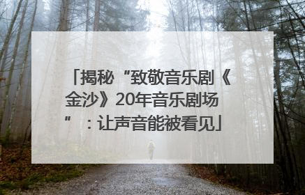 揭秘“致敬音乐剧《金沙》20年音乐剧场”：让声音能被看见