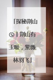 探秘荆山⑤丨荆山有玉暖，紫薇林羽飞