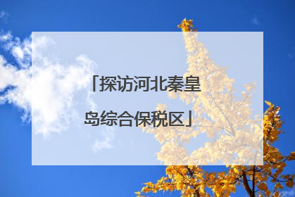 探访河北秦皇岛综合保税区