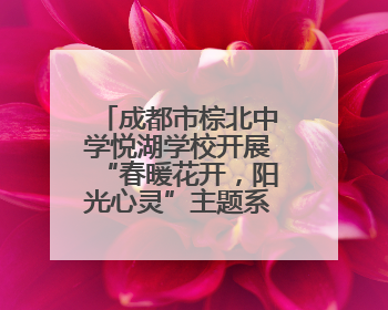 成都市棕北中学悦湖学校开展“春暖花开，阳光心灵”主题系列活动