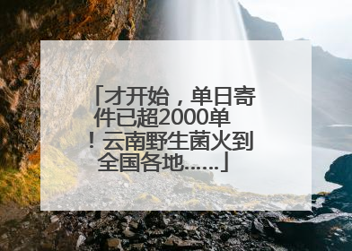 才开始，单日寄件已超2000单！云南野生菌火到全国各地……
