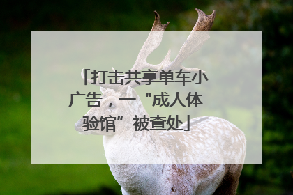 打击共享单车小广告，一“成人体验馆”被查处