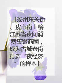 扬州东关街、皮市街上榜江苏省夜间消费集聚商圈，成为古城老街打造“夜经济”的样本