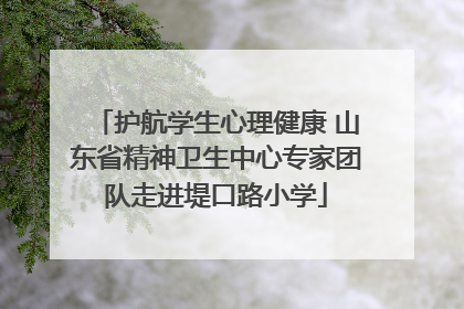 护航学生心理健康 山东省精神卫生中心专家团队走进堤口路小学