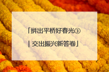 拼出平桥好春光③｜交出振兴新答卷