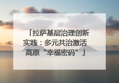 拉萨基层治理创新实践：多元共治激活高原“幸福密码”