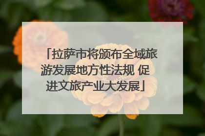 拉萨市将颁布全域旅游发展地方性法规 促进文旅产业大发展
