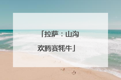 拉萨：山沟欢腾赛牦牛