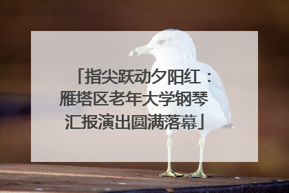 指尖跃动夕阳红：雁塔区老年大学钢琴汇报演出圆满落幕