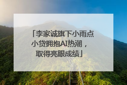 李家诚旗下小雨点小贷拥抱AI热潮，取得亮眼成绩