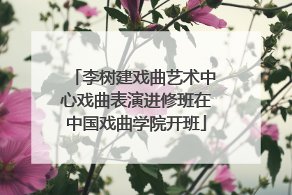李树建戏曲艺术中心戏曲表演进修班在中国戏曲学院开班