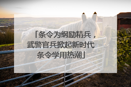 条令为纲励精兵，武警官兵掀起新时代条令学用热潮