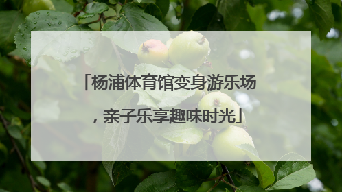 杨浦体育馆变身游乐场，亲子乐享趣味时光