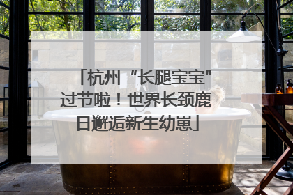 杭州“长腿宝宝”过节啦！世界长颈鹿日邂逅新生幼崽