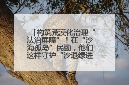 构筑荒漠化治理“法治屏障”！在“沙海孤岛”民勤，他们这样守护“沙退绿进”的生态奇迹
