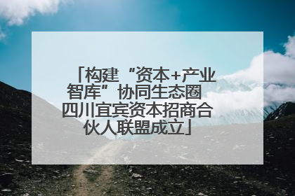 构建“资本+产业智库”协同生态圈 四川宜宾资本招商合伙人联盟成立
