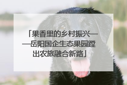 果香里的乡村振兴——岳阳国企生态果园蹚出农旅融合新路