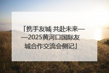 携手友城 共赴未来——2025黄河口国际友城合作交流会侧记