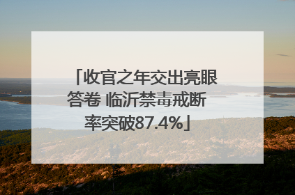 收官之年交出亮眼答卷 临沂禁毒戒断率突破87.4%
