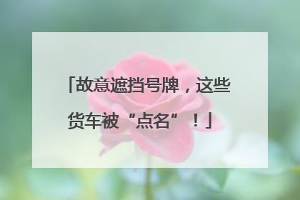 故意遮挡号牌，这些货车被“点名”！
