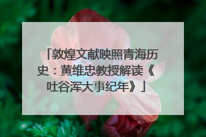 敦煌文献映照青海历史：黄维忠教授解读《吐谷浑大事纪年》