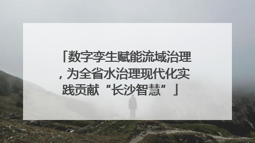 数字孪生赋能流域治理，为全省水治理现代化实践贡献“长沙智慧”