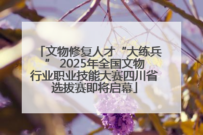 文物修复人才“大练兵” 2025年全国文物行业职业技能大赛四川省选拔赛即将启幕