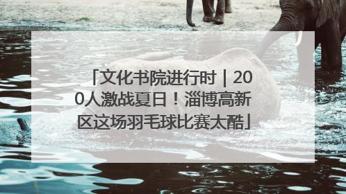 文化书院进行时｜200人激战夏日！淄博高新区这场羽毛球比赛太酷