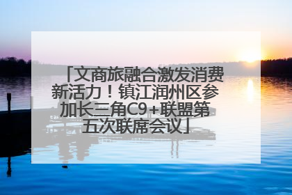 文商旅融合激发消费新活力！镇江润州区参加长三角C9+联盟第五次联席会议