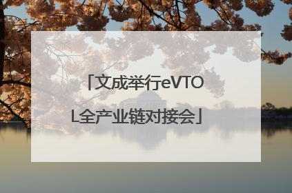 文成举行eVTOL全产业链对接会