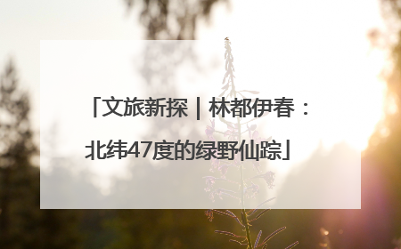 文旅新探｜林都伊春：北纬47度的绿野仙踪
