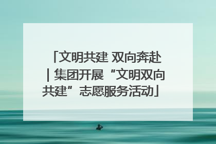 文明共建 双向奔赴｜集团开展“文明双向共建”志愿服务活动