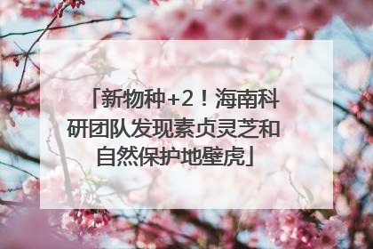 新物种+2！海南科研团队发现素贞灵芝和自然保护地壁虎