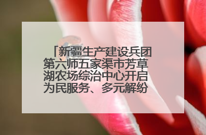 新疆生产建设兵团第六师五家渠市芳草湖农场综治中心开启为民服务、多元解纷“超市”新体验