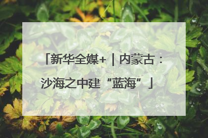新华全媒+｜内蒙古：沙海之中建“蓝海”