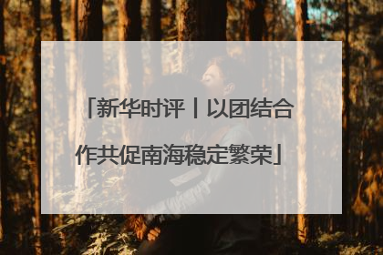 新华时评丨以团结合作共促南海稳定繁荣