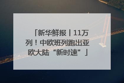 新华鲜报丨11万列！中欧班列跑出亚欧大陆“新时速”